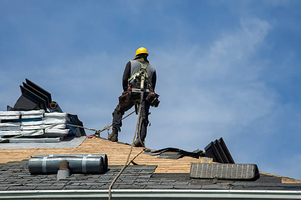 Professional Flat Roof Repair technician working in Frankton, IN